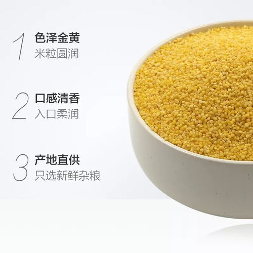 19.9元限時預(yù)售！前1000份搶400g*3袋“谷物軟黃金”，產(chǎn)地新鮮直供